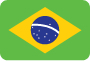 Brazilian Flag