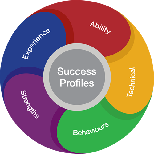 Success Profiles Graphic